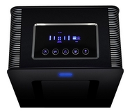 ���� ������