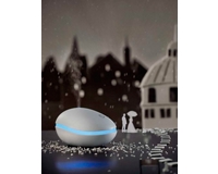 ���� ������