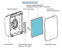 ���� ������