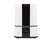 ���� ������