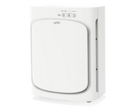 ���� ������