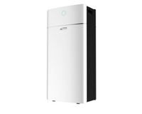 ���� ������