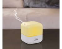 ���� ������