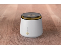 ���� ������