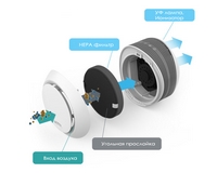 ���� ������