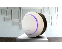 ���� ������