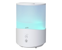 ���� ������