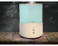 ���� ������