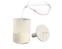 ���� ������