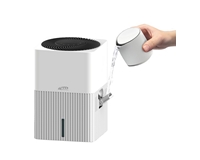 ���� ������