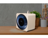 ���� ������