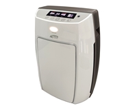 ���� ������