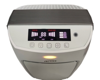 ���� ������