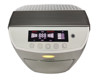 ���� ������