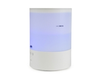 ���� ������