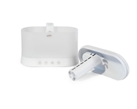 ���� ������