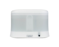 ���� ������