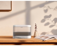 ���� ������