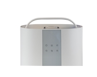 ���� ������