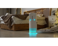 ���� ������