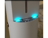 ���� ������