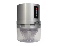 ���� ������