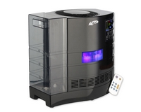 ���� ������