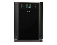 ���� ������