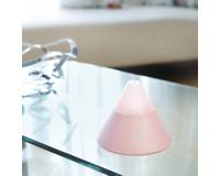 ���� ������