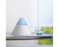 ���� ������