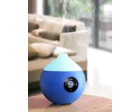 ���� ������