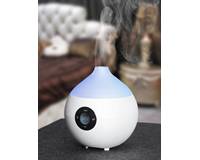 ���� ������