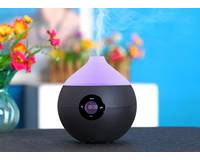 ���� ������