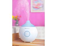 ���� ������