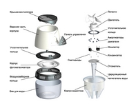 ���� ������