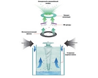 ���� ������