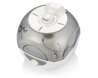 ���� ������