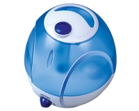 ���� ������