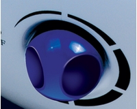 ���� ������